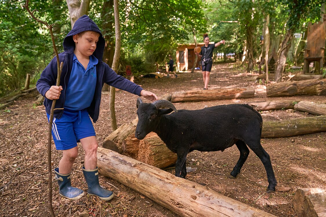 child strokes a black goat