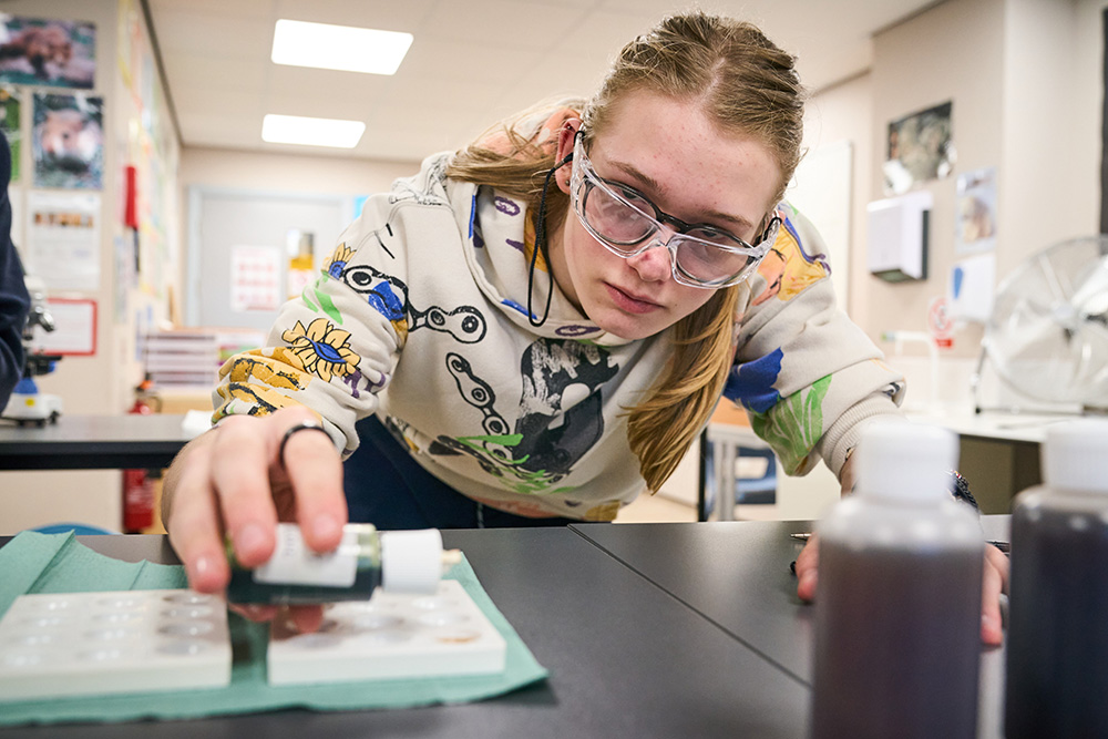 Pupil leaning over a work bench adds drops of a solution to paper
